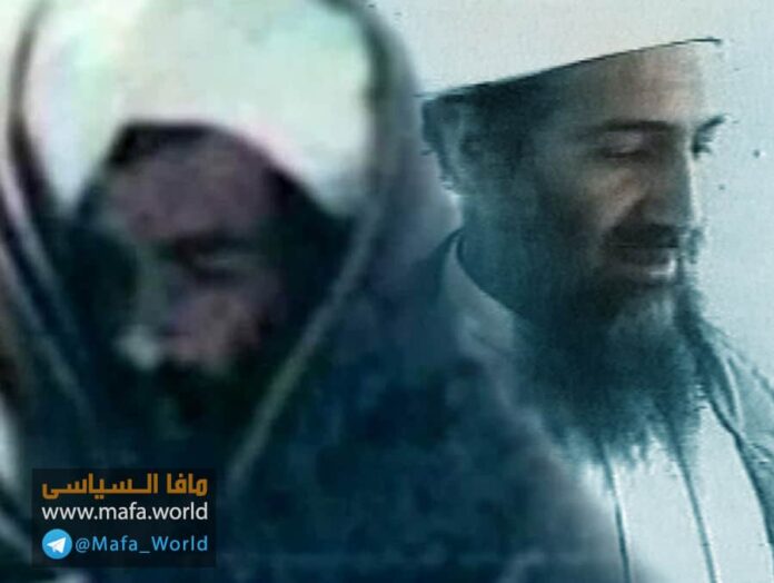 علاقة بن لادن بالإمارة الإسلامية
