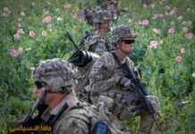 12 سؤال من كابل (الجزء الرابع) 12 سؤال من كابل (الجزء الرابع)